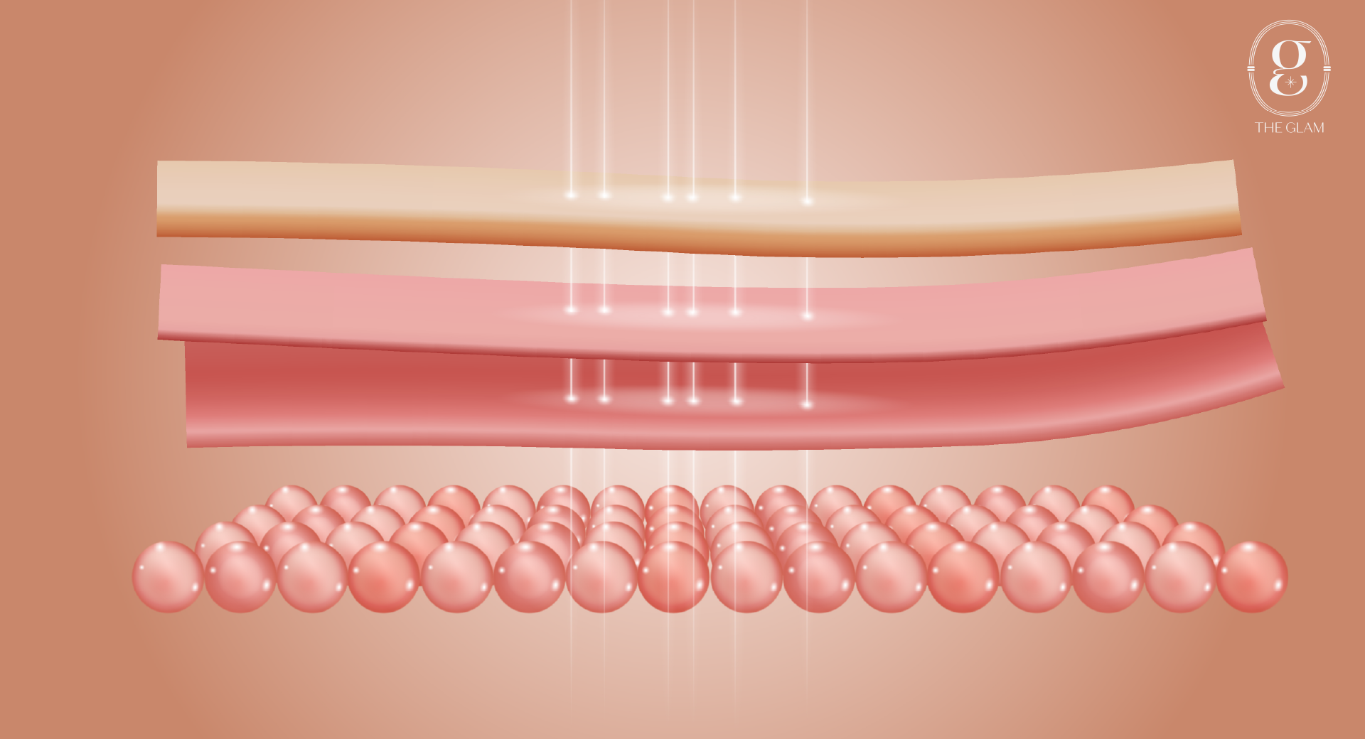 Which skin layers does Oligio target? And what does it stimulate?