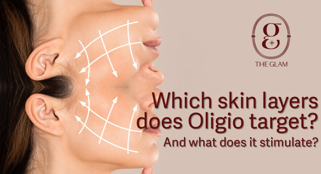 Which skin layers does Oligio target? And what does it stimulate?